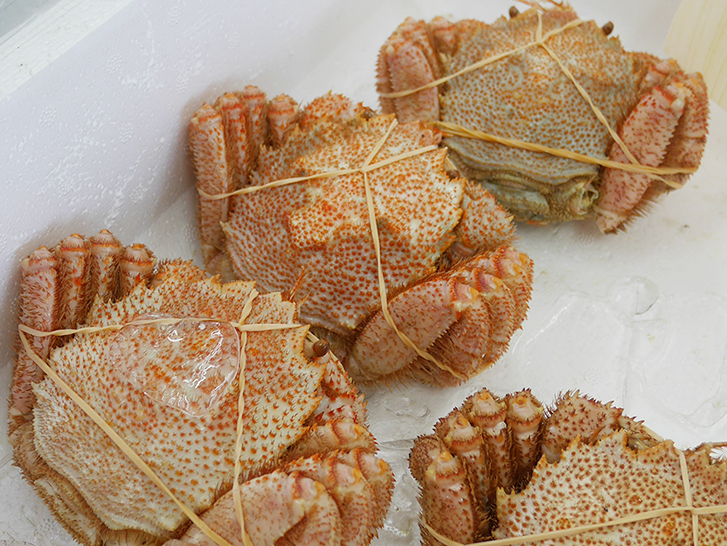 ⑨ 漁師の店 カニ