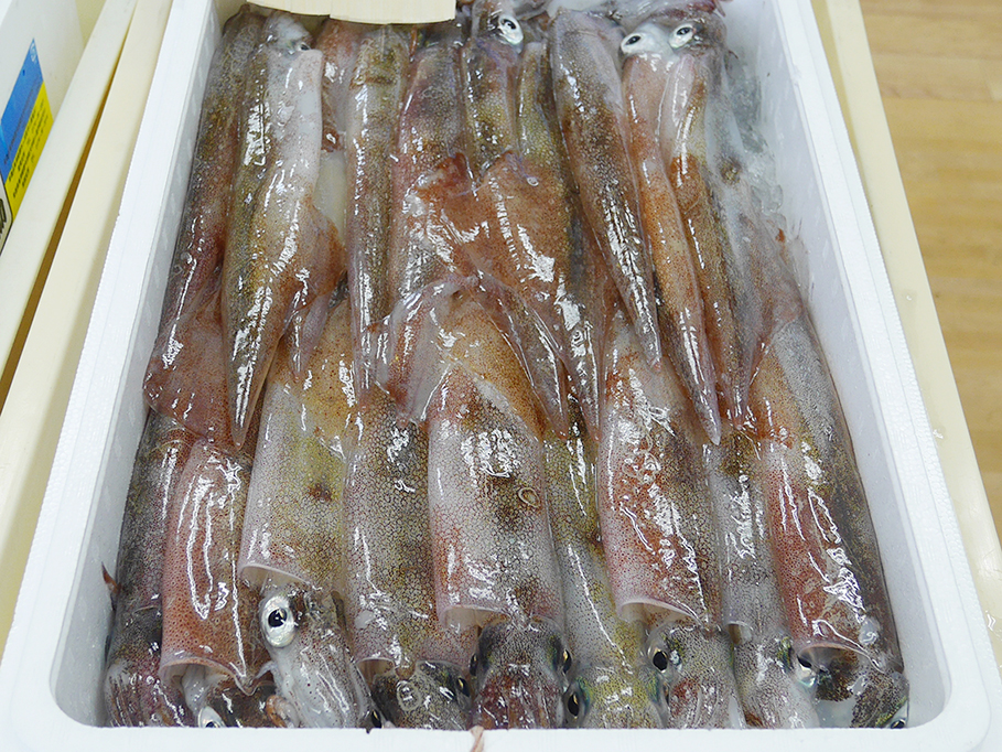 ⑨ 漁師の店 イカ